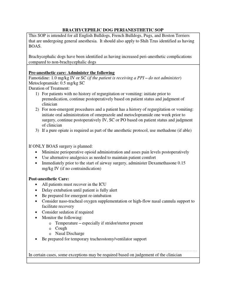 Perioperative Care Guidelines for Brachycephalic Dog Breeds Undergoing General Anesthesia with