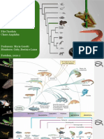 Anfíbios da Zoologia dos Deuterostômias