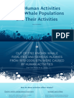 How Human Activities Affect Whale Populations and Their Activities