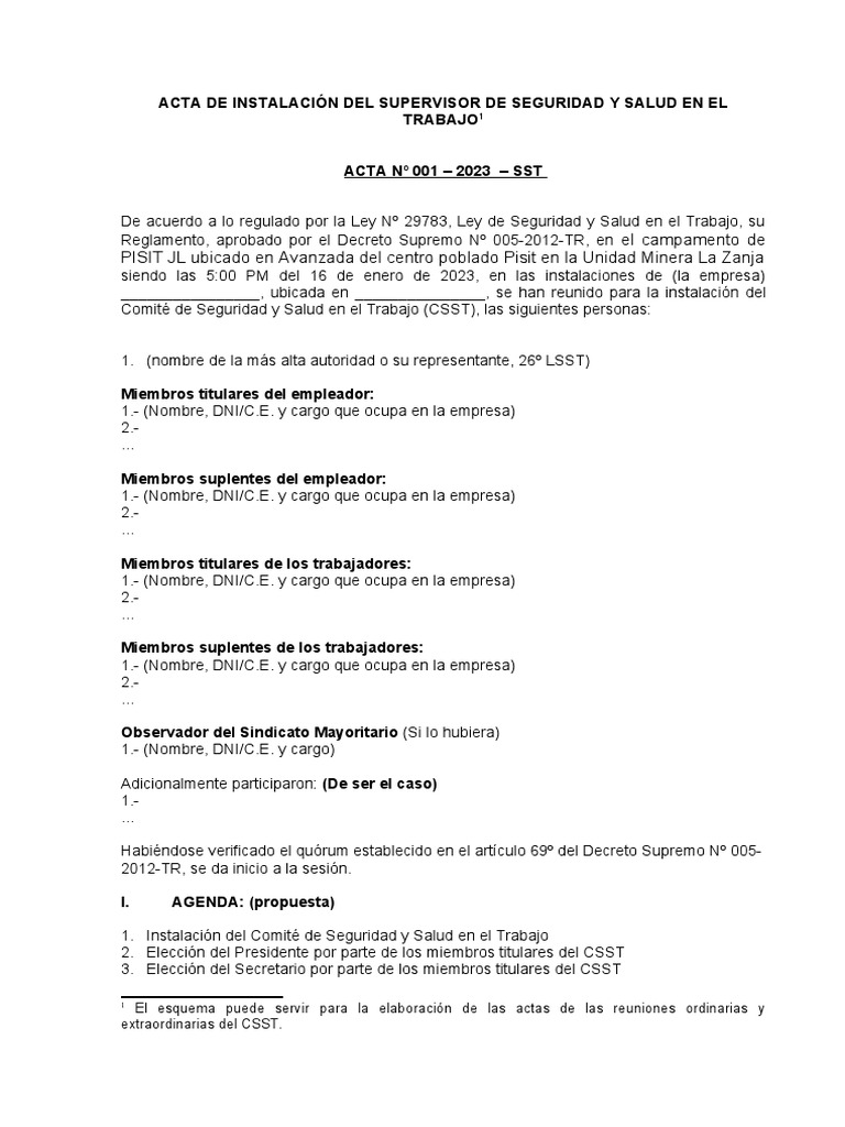 Acta de Instalación del CSST 2023 | PDF