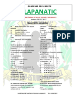 Llapanatic: Academia Pre Cadete