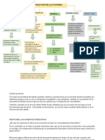 Historia Economica