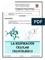 5 Sec. Clase Respiracion Celular Glucolisis I
