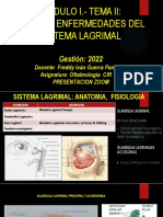 1.2 Sistema Lagrimal Presentacion