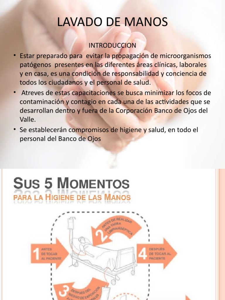Importancia del Lavado de Manos en Salud | PDF