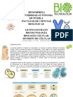 U5-Meiosis.-Héctor J