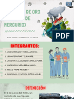 El Precio de Oro (Derrame de Mercurio) : Medio Ambiente Y Desarrollo Sostenible