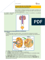 NUTRICION EXCRECION