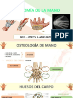 Anatomía de La Mano: MR 1 - Joselyn K. Arias Gutierrez