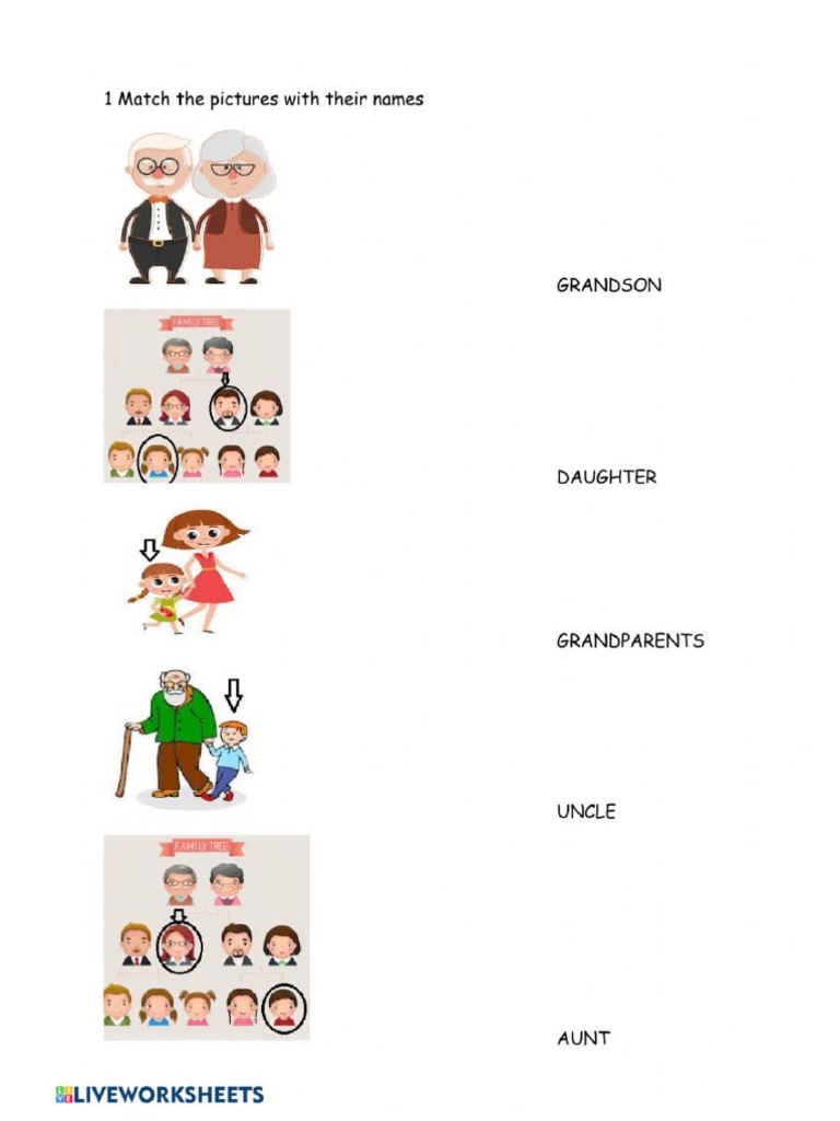 Family Member | PDF