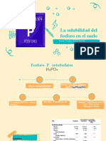 Química de Suelos P