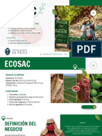 Trabajo Final Ad3 - Ecosac