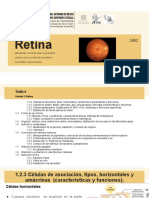 Neuro Retina 2452 22-2