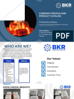 BKR Company Profile - SC