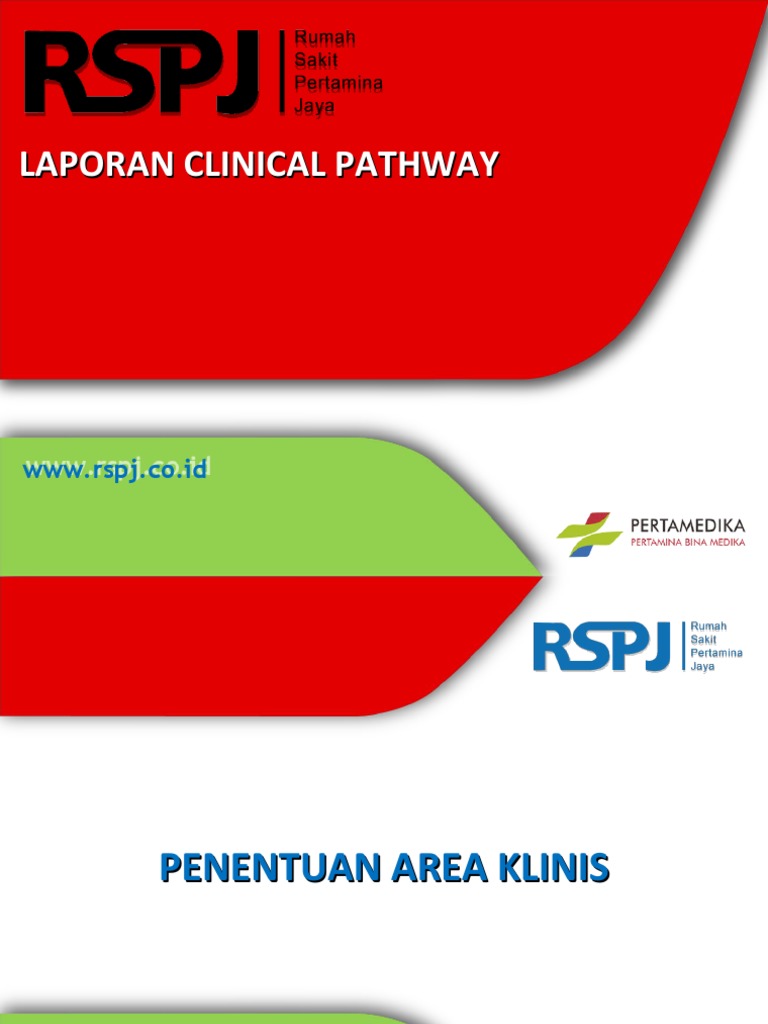 Laporan Clinical Pathway Rumah Sakit | PDF | Medical Statistics ...