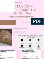 Inclusión Y Procesamiento de Tejidos: Camila Del Carmen Contreras Guzmán Pasante Tsu Histotecnólogo Y Embalsamador