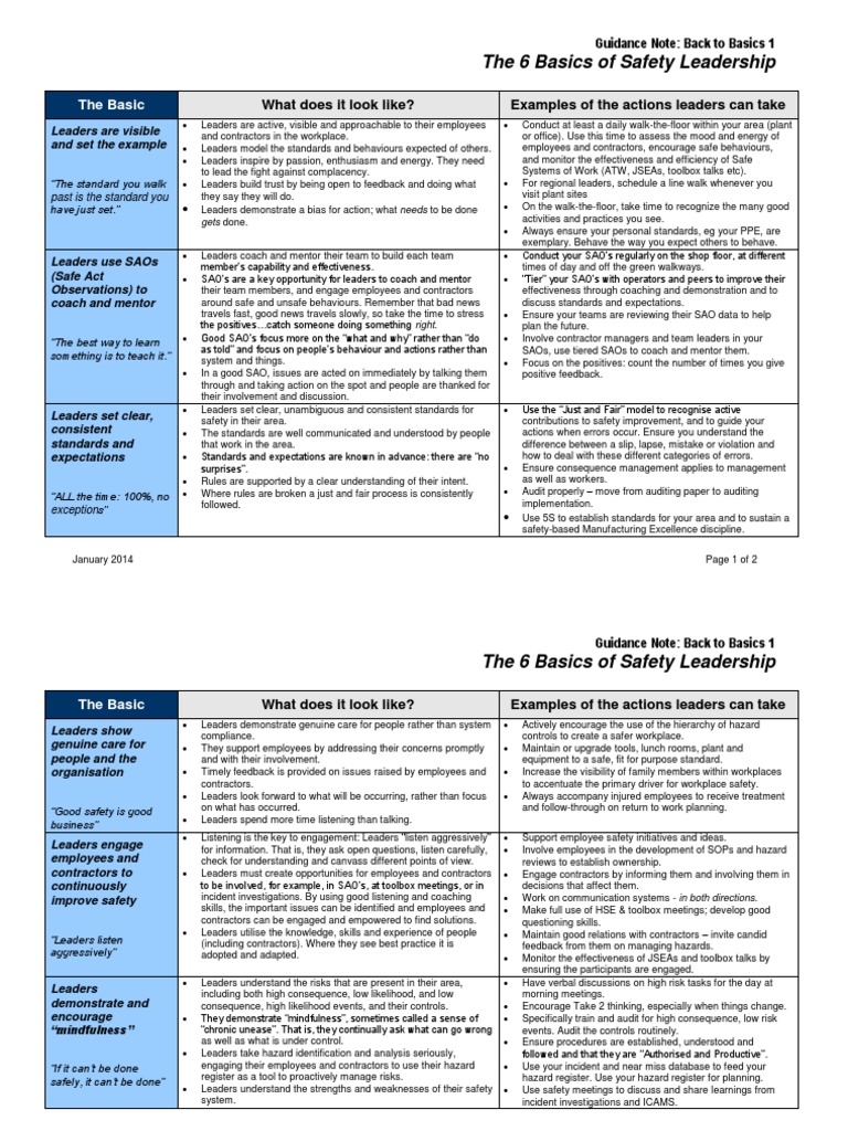 The 6 Basics Safety Leadership | PDF | Risk | Mentorship