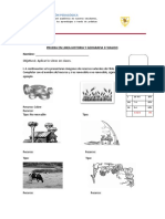 Prueba en Linea Historia y Geografia 5 Basico