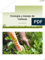 Ecología y Manejo de Malezas