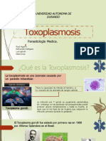 Toxoplasmosis: Una zoonosis causada por Toxoplasma gondii