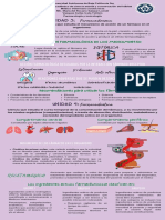 UNIDAD III Y IV Infografia - VazquezAviles