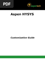 AspenHYSYS2006_5-Cust