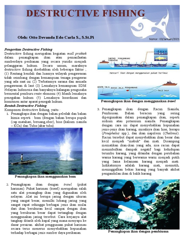 Dampak dan Praktik Destructive Fishing | PDF | Ilmu Sosial | Griya & Taman