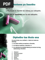 Setswana HL Poetry | PDF | Languages | Foreign Language Studies