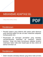 MEKANISME ADAPTASI DAN CIDERA SEL