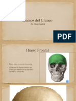 Huesos Del Craneo: Dr. Diego Aguilar