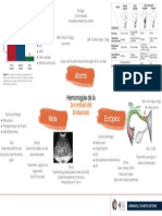 Hemorragias de La 1ra Mitad Del Embarazo