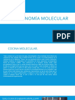 Gastronomía Molecular3