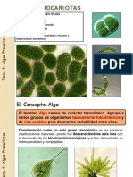 T4. Algas Procariotas