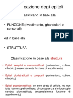 Classificazione Degli Epiteli