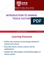 2021 Lecture 1 Introduction To Animal Tissue Culture