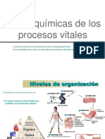 2.-Bases Químicas de Losprocesos vitales.D.Moranta