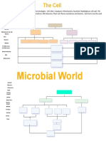 Concept Maps - Cell and Microbial World Activity - Tagged