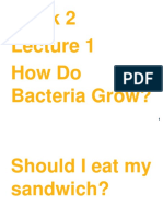 Week 2 How Do Bacteria Grow?