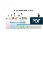 Size in The Microbial World