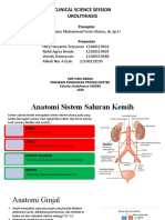 CSS_7_UROLITHIASIS KEL 4 DAN 14