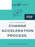 Change Acceleration Process