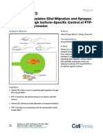 Vitamin B12 Regulates Glial Migration and Synapse Formation Through Isoform-Specific Control of PTP-3/LAR PRTP Expression