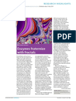 Enzymes Fraternize With Fractals: Research Highlights