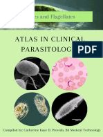PROVIDO-Atlas No. 2 The Ciliates and Flagellates
