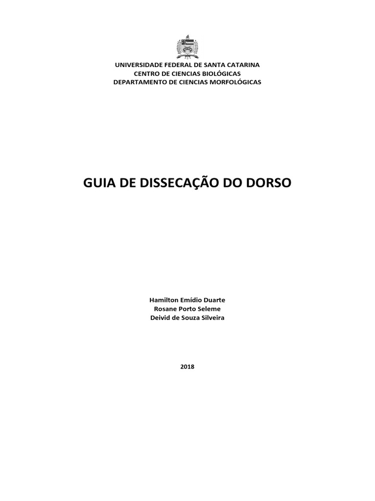 Guia Prático Do Dorso Pdf Coluna Vertebral Sistema Locomotor
