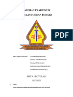 Laporan Praktikum Uji Kandungan Boraks: SMP N 1 Boyolali 2022/2023