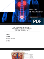 Sistem Perkemihan: Ns. Rif'Atul Fani, M.KEP