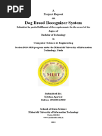 Dog Breed Recognizer System: A Project Report On