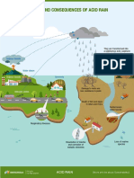 Infographic Causes Consequences Acid Rain