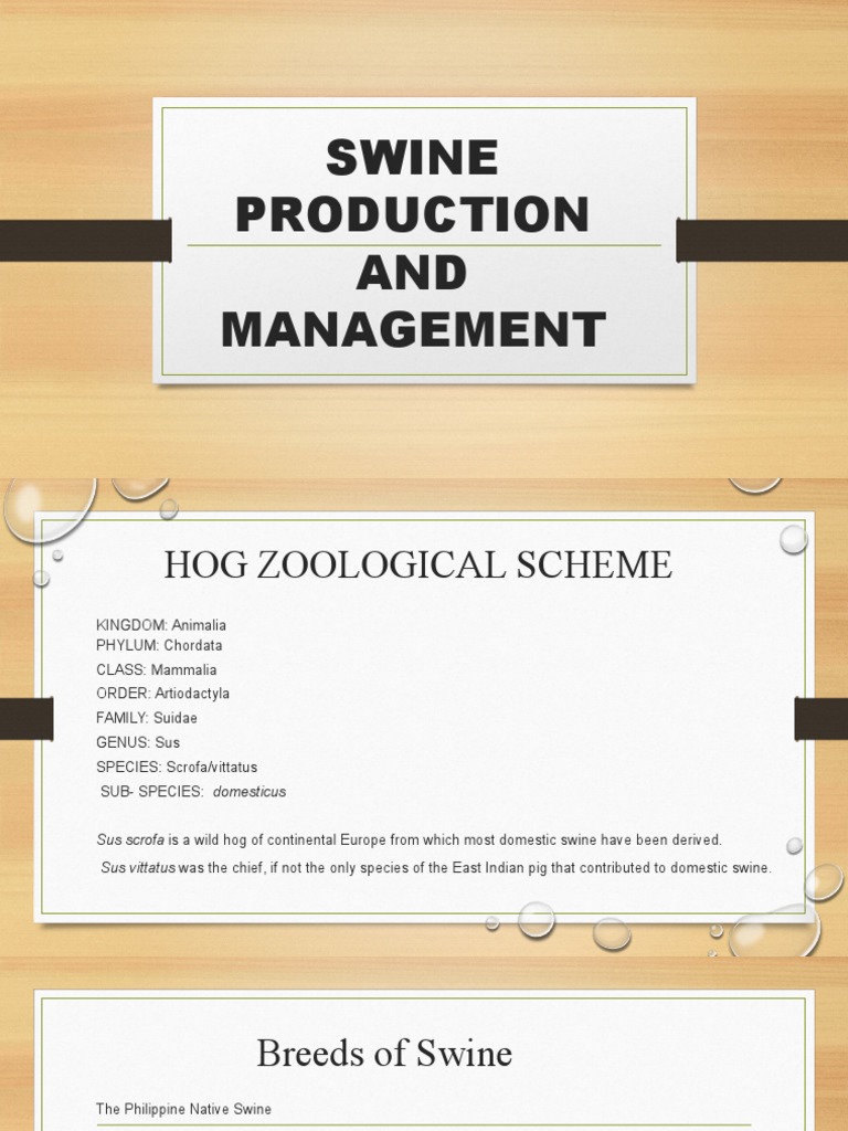 Swine Production AND Management | PDF | Pig | Organisms